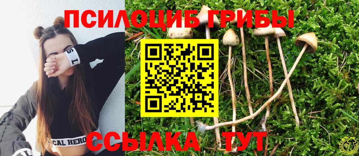 Галлюциногенные грибы GOLDEN TEACHER Йошкар-Ола